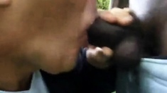 Sucking Black Cock Outdoors