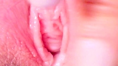 Inside my pussy