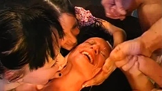 Amateur Girlfriend Blowjob And Fucks With Cumshot