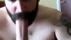 Bearded daddy sucks big hairy cock